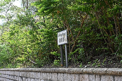 DSC_4626.jpg