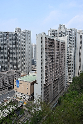 DSC_4635.jpg