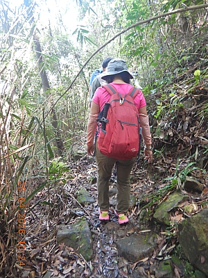 DSCN1028.JPG