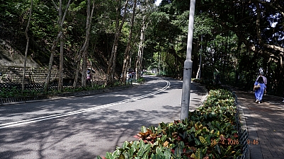 _DSF0133.JPG