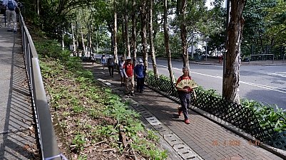 _DSF0137.JPG