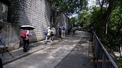 _DSF0138.JPG