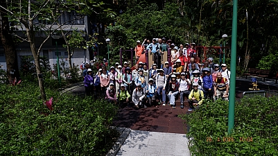 _DSF0153.JPG
