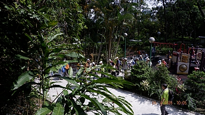 _DSF0158.JPG