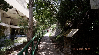 _DSF0171.JPG