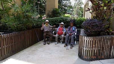 _DSF0175.JPG