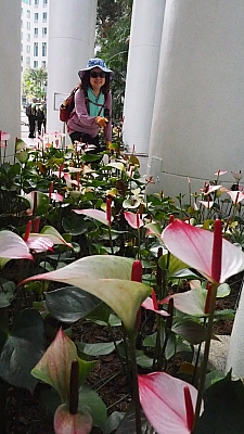 P4260271.JPG