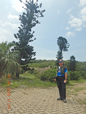 DSCN1206.JPG