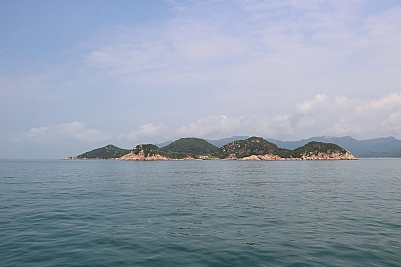 IMG_3553.JPG