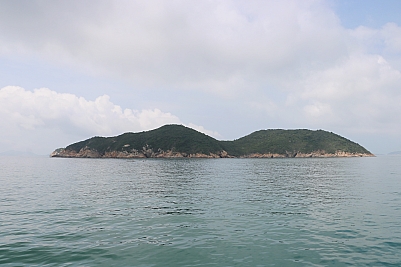 IMG_3556.JPG