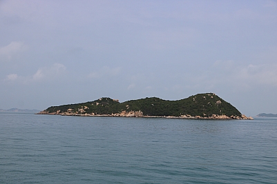 IMG_3559.JPG