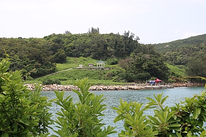 IMG_3590.JPG