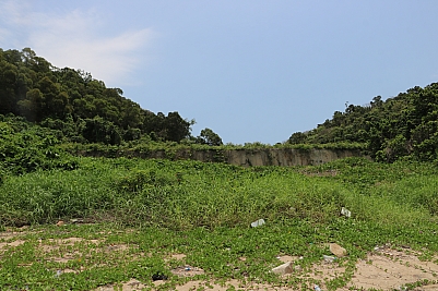 IMG_3653.JPG