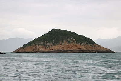 IMG_3712.JPG