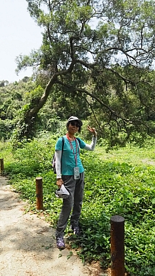 P5030633.JPG