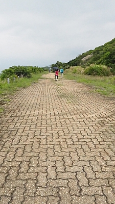 P5030717.JPG