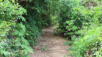 2P8A1009.JPG