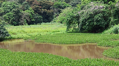 2P8A1013.JPG