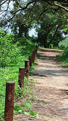 2P8A1018.JPG
