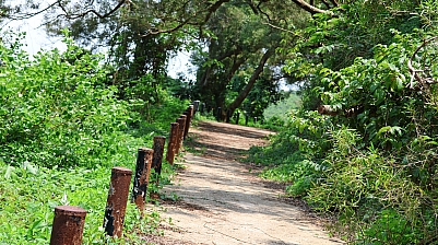 2P8A1019.JPG