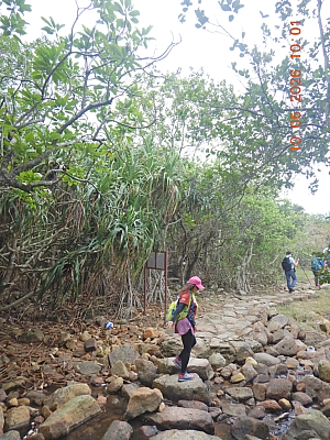 DSCN1306.jpg