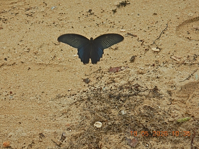 DSCN1332.jpg