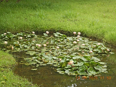 DSCN1373.jpg