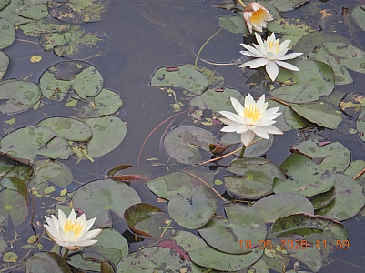 DSCN1386.jpg