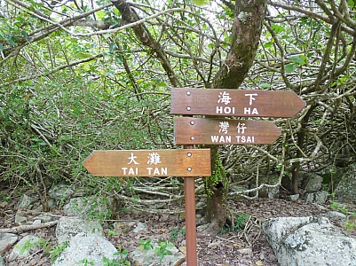 CIMG5542.jpg