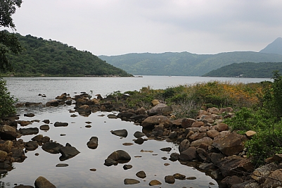 IMG_3845.jpg