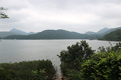 IMG_3851.jpg