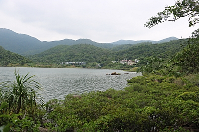 IMG_3859.jpg