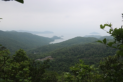IMG_3949.jpg
