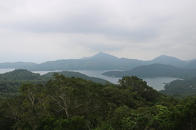 IMG_3952.jpg