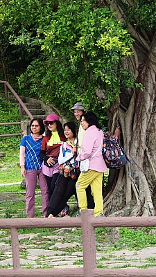 P5100779.jpg