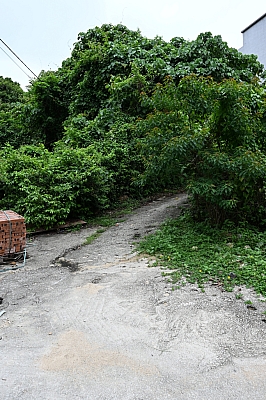 DSC_5242.jpg
