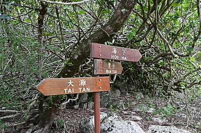 DSC_5250.jpg