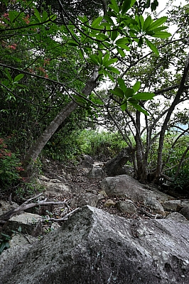 DSC_5251.jpg