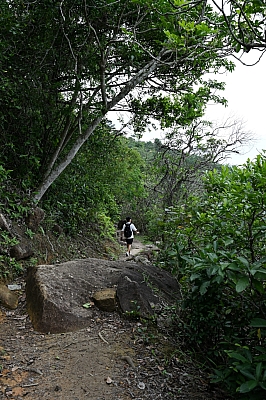 DSC_5252.jpg