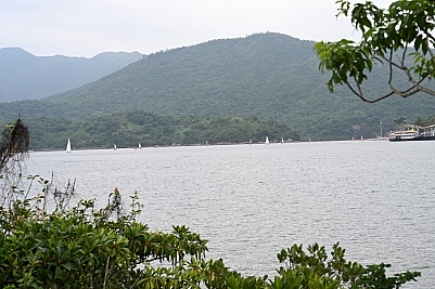 DSC_5256.jpg