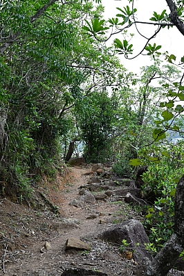 DSC_5257.jpg