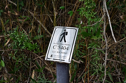 DSC_5260.jpg