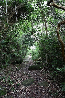 DSC_5261.jpg