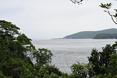 DSC_5262.jpg