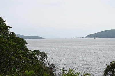 DSC_5267.jpg