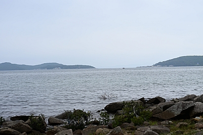 DSC_5269.jpg
