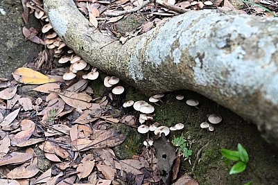 DSC_5280.jpg