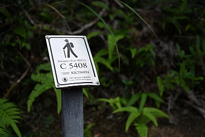 DSC_5286.jpg