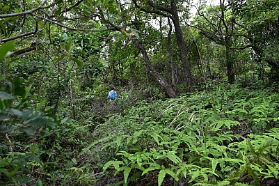 DSC_5294.jpg