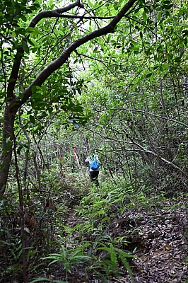 DSC_5300.jpg
